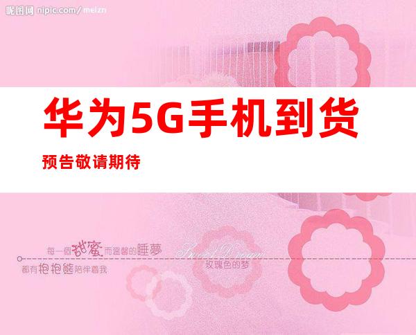 传承红色血脉，筑牢Weilink长城